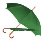 Economy Rain Umbrella,Umbrellas