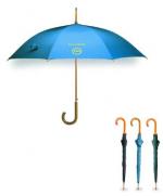 Budget Rain Umbrella, Rain Umbrellas